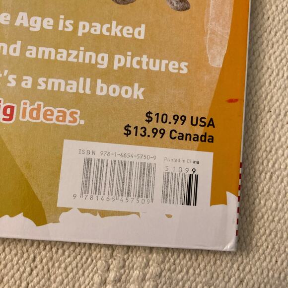 DK findout Stone Age by: DK ISBN: 9781465457509 book paperback DK findout! - Picture 7 of 7